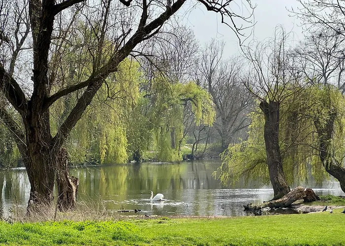 Strasbourg, Appartement Cosy Au Bord De L Eau