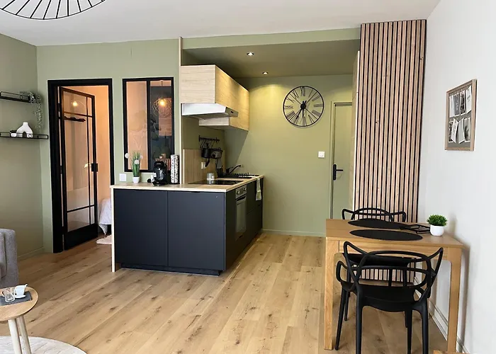 Strasbourg, Appartement Cosy Au Bord De L Eau