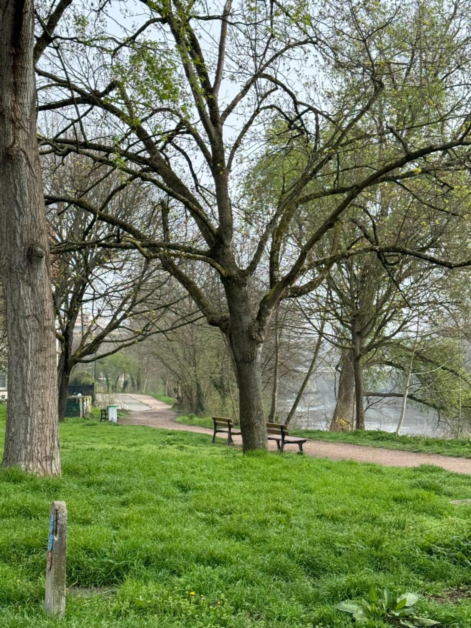 Strasbourg, Cosy Au Bord De L Eau * Strasbourg