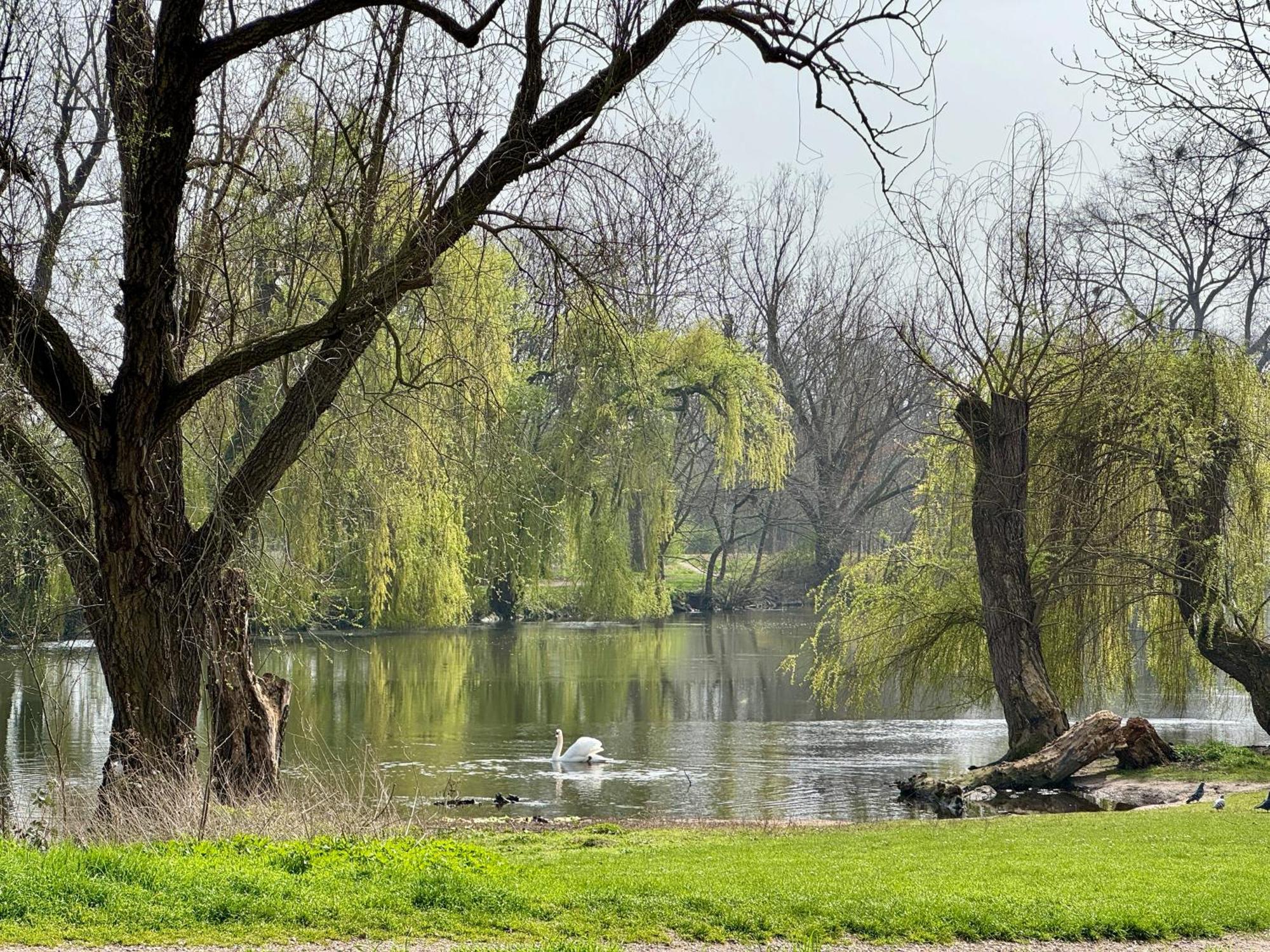 Appartement Strasbourg, Cosy Au Bord De L Eau *