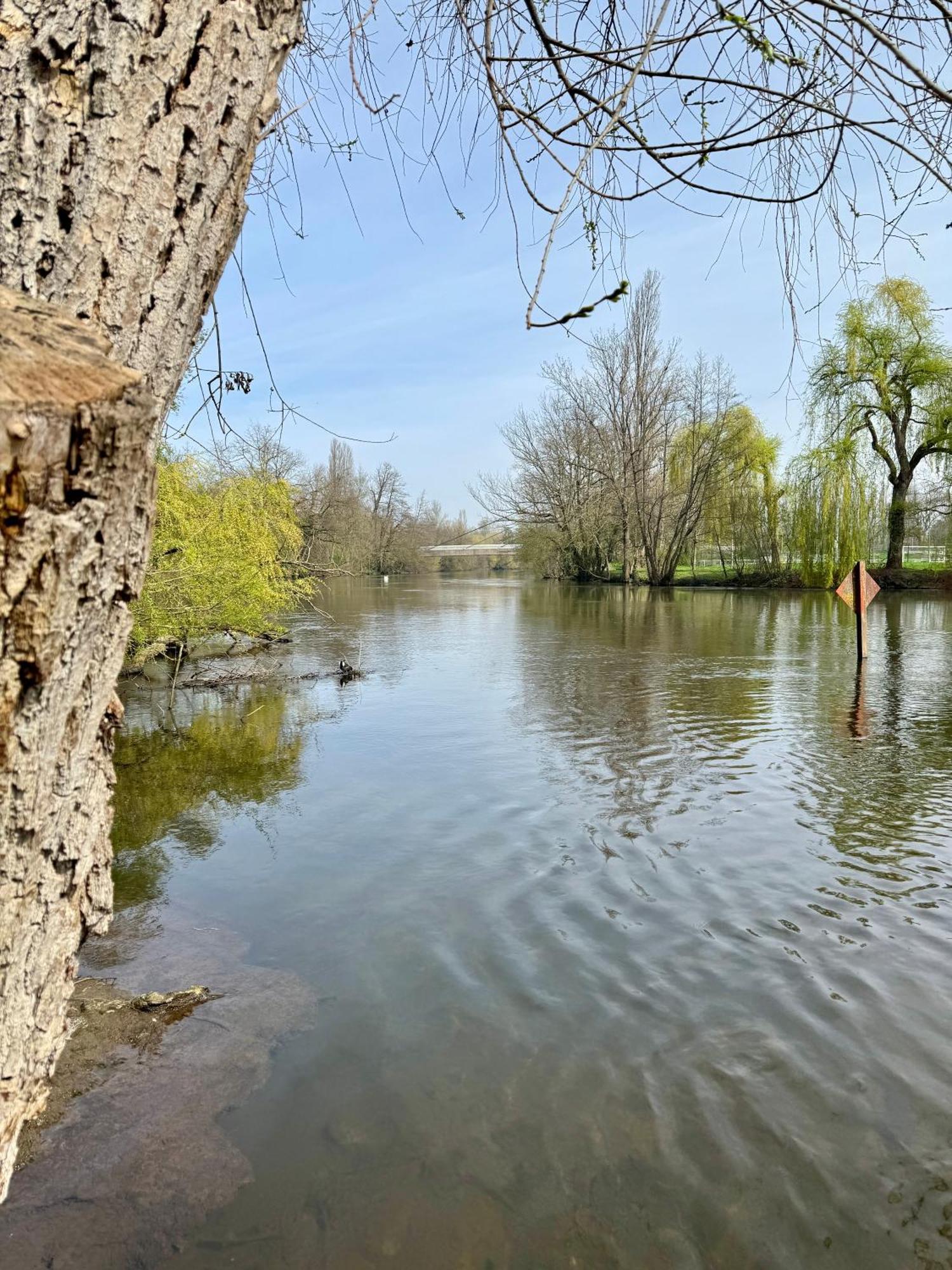 Strasbourg, Cosy Au Bord De L Eau Strasbourg